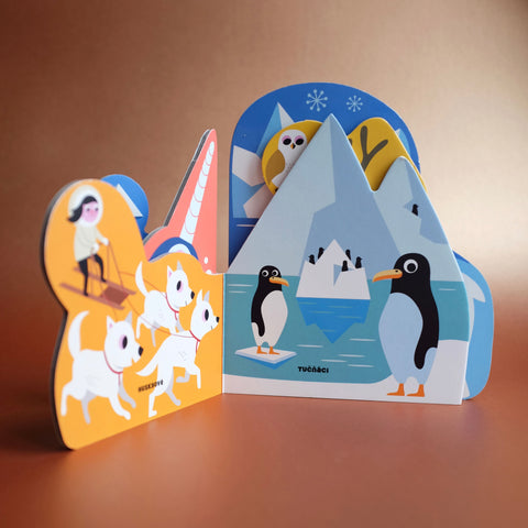 V polárních krajích