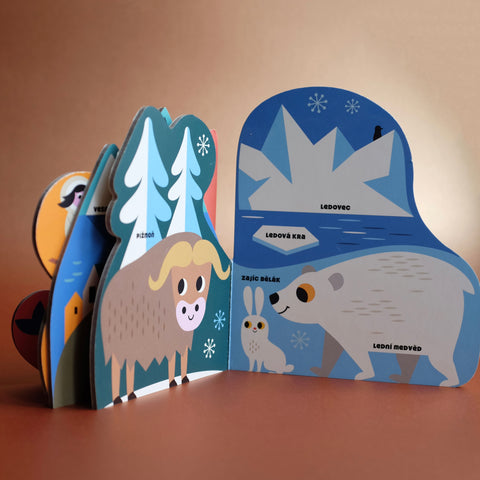 V polárních krajích